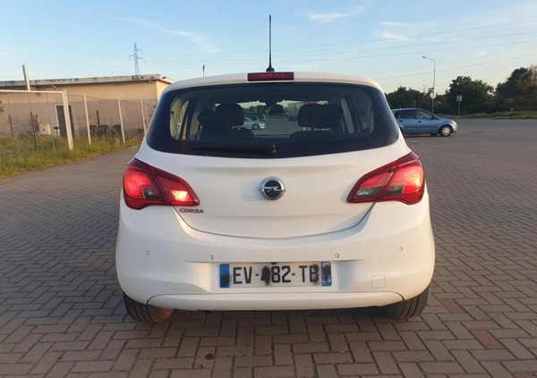 Opel Corsa cena 30900 przebieg: 120000, rok produkcji 2017 z Szamotuły małe 742